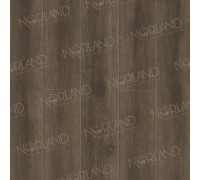 Каменно-полимерный ламинат SPC Alpine Floor Norland NeoWood Ледяная долина 2001-10 замковый, фаска 4V 1220х196х8 мм (1,6738 кв. м)