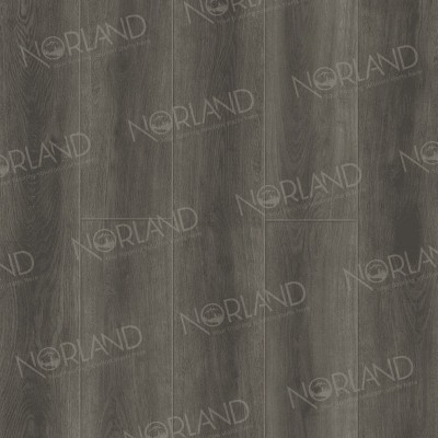Каменно-полимерный ламинат SPC Alpine Floor Norland NeoWood Речной простор 2001-1 замковый, фаска 4V 1220х196х8 мм (1,6738 кв. м)
