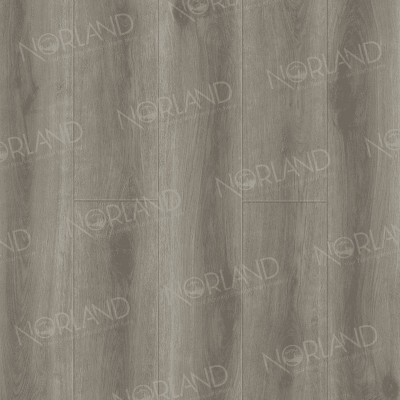 Каменно-полимерный ламинат SPC Alpine Floor Norland NeoWood Таежный ручей 2001-7 замковый, фаска 4V 1220х196х8 мм (1,6738 кв. м)