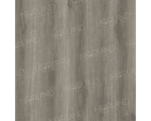 Каменно-полимерный ламинат SPC Alpine Floor Norland NeoWood Таежный ручей 2001-7 замковый, фаска 4V 1220х196х8 мм (1,6738 кв. м)