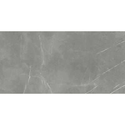 Керамогранит Atlas Concorde Forte dei Marmi Elegant Grey Cer 60x120 Rett 610015000657