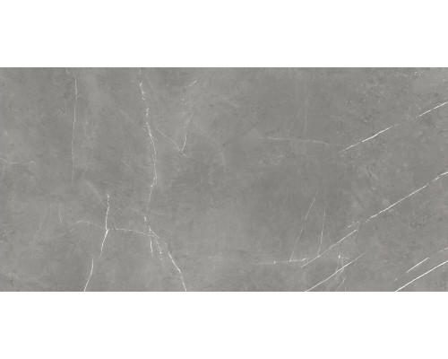 Керамогранит Atlas Concorde Forte dei Marmi Elegant Grey Cer 60x120 Rett 610015000657