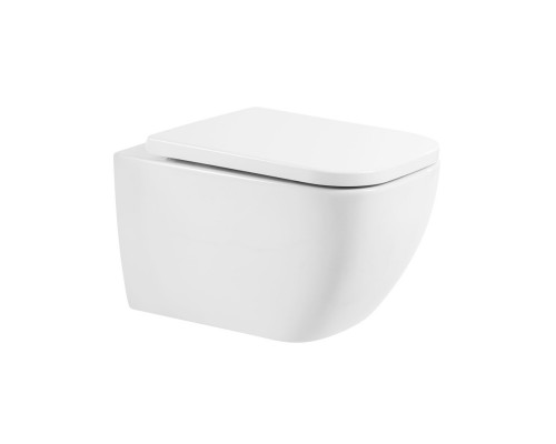 Унитаз подвесной BelBagno Alpina BB10100CHR/SC безободковый с микролифтом