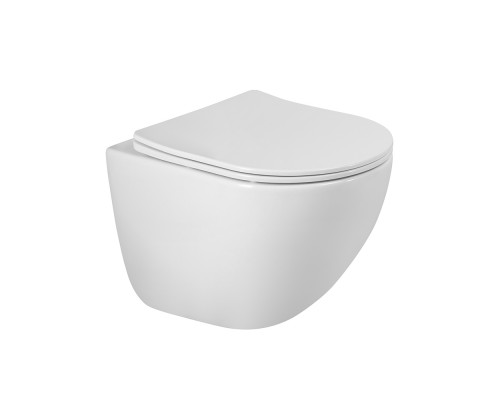 Унитаз подвесной BelBagno Amanda BB051CH-TOR-FC/SC безободковый с микролифтом, смыв TORNADO