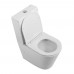 Чаша унитаза BelBagno Flay-R BB2149CPR/SC безободковый с микролифтом