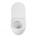 Унитаз подвесной BelBagno Amanda BB051CH-TOR-FC/SC безободковый с микролифтом, смыв TORNADO