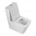 Чаша унитаза BelBagno Ardente-R BB02093CPR/SC безободковый, с микролифтом
