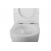 Унитаз подвесной BelBagno Sfera-Tor BB046CH-TOR/SC безободковый с микролифтом, смыв TORNADO
