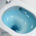 Унитаз-моноблок BelBagno Tre-Tor BB673CP-MN-TOR/SC безободковый с микролифтом, смыв TORNADO