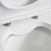 Чаша унитаза BelBagno Lounge BB045CPR/SC безободковый с микролифтом