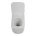 Унитаз подвесной BelBagno Luce BB076CH-TOR/SC безободковый с микролифтом, смыв TORNADO