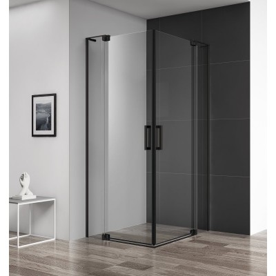 Душевой уголок Cezares Slider 900-1000x1000-1100x1950 SLIDER-AH-2-90/100-100/110-C-NERO профиль черный/матовый, стекло прозрачное