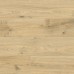 Ламинат Floorwood Paradigma 8335 Дуб Риман 1220х198х12 мм класс 34/AC6 фаска 4V Т0033299 (2,174 кв.м)