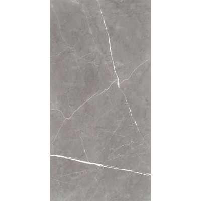 Керамогранит Global Tile Encanto 60х120 серый GT120603001MCR