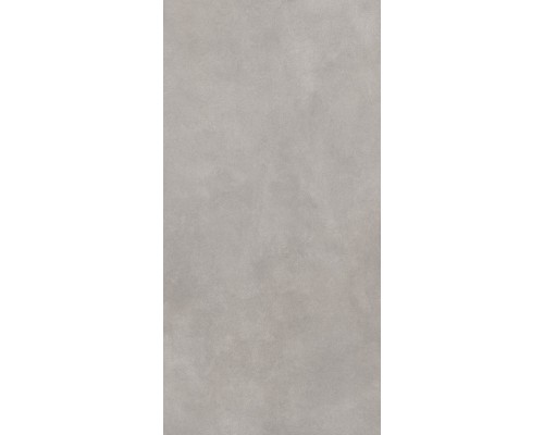 Керамогранит Global Tile Cassini 60х120 серый GT1206017701MR