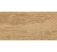 Керамогранит Global Tile Florida 30х60 бежевый GT220VG