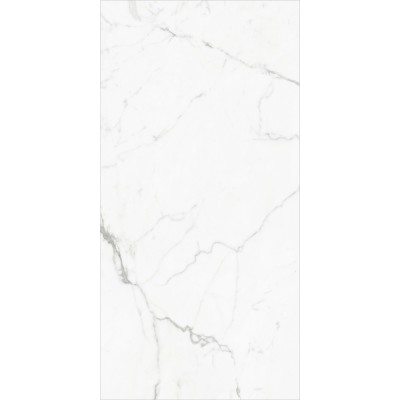 Керамогранит Global Tile Elegant Statuario 60х120 белый полированный GT120604803PR