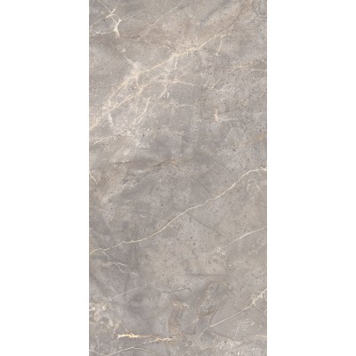 Керамогранит Global Tile Sacramento 60х120 серый GT120603101MCR