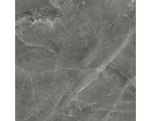 Керамогранит Global Tile Tulip 60x60 темно-серый GT606012109SPR