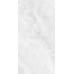 Керамогранит Global Tile Agra 60x120 светло-серый полированный GT1206016206PDR