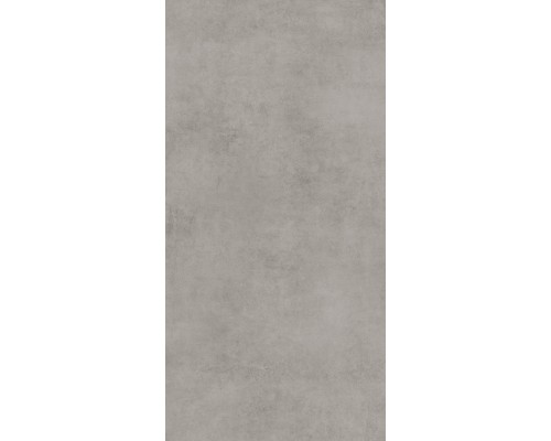 Керамогранит Global Tile Stardust 60х120 серый GT120600501MCR