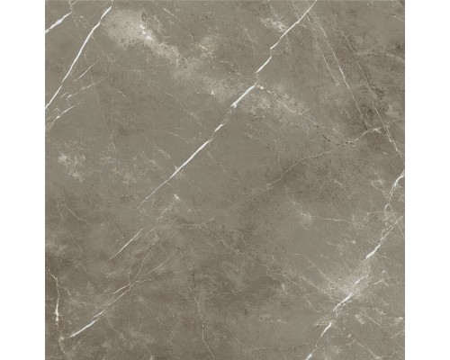 Керамогранит Italon Стелларис Тусканиа Грэй 120x120 Ret 600010002388