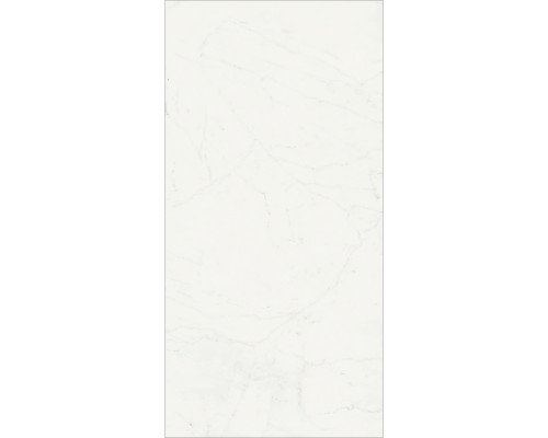 Керамогранит Italon Charme Deluxe Bianco Michelangelo Lux 80х160 610015000500