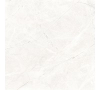Керамогранит Laparet Connect Pearl 60х60 светло-серый матовый SG624920R