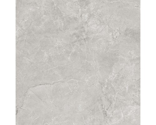 Керамогранит Laparet Pluto Silver 60х60 светло-серый матовый SG625820R