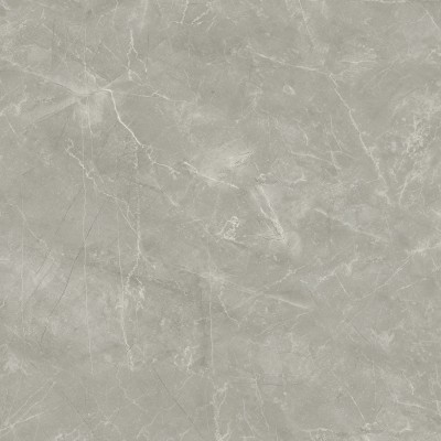 Керамогранит Laparet Wolf Grey 80x80 сатинированный
