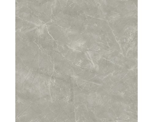 Керамогранит Laparet Wolf Grey 80x80 сатинированный