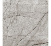 Керамогранит Laparet Obsidian Moss Gray 60x60 матовый 130106