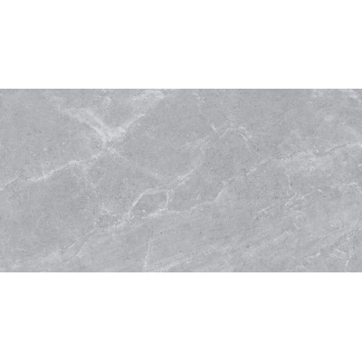 Керамогранит Usak Seramik Ascot Grey Matt 60x120 601207