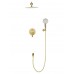 Душевая система Wonzon & Woghand Brilliant WW-88939079-BG встраиваемая, брашированное золото