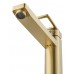 Смеситель Wonzon & Woghand Frame WW-88239010-BG для раковины, брашированное золото