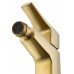 Смеситель Wonzon & Woghand Flex WW-88016072-BG для биде, брашированное золото
