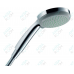 Душевая лейка Hansgrohe Croma 100 Vario 28535000